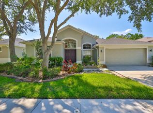 8213 Swann Hollow Dr, Tampa, FL 33647
