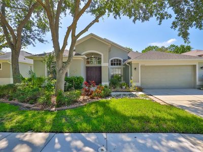 8213 Swann Hollow Dr, Tampa, FL, 33647