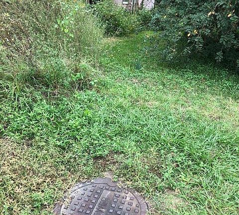 2nd image of 5314 Forest Dr
