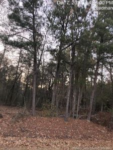 6711 Norvell Rd, Wade, NC, 28395