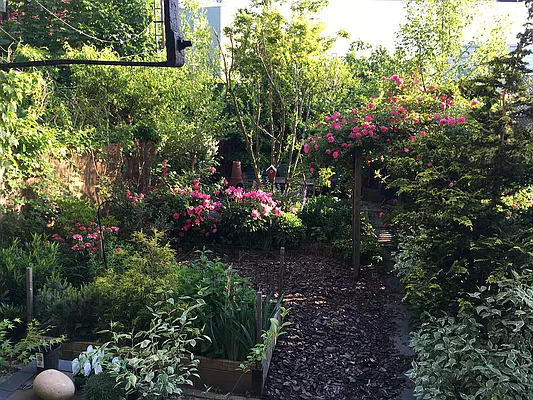 Rented by Corcoran | media 15