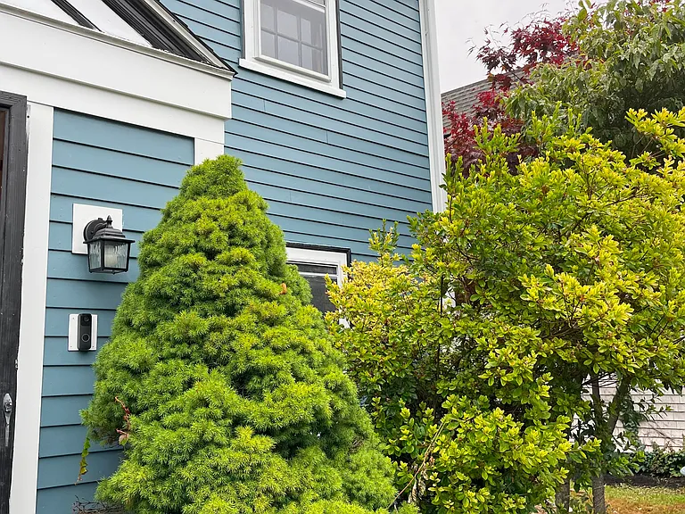 Front Yard Right