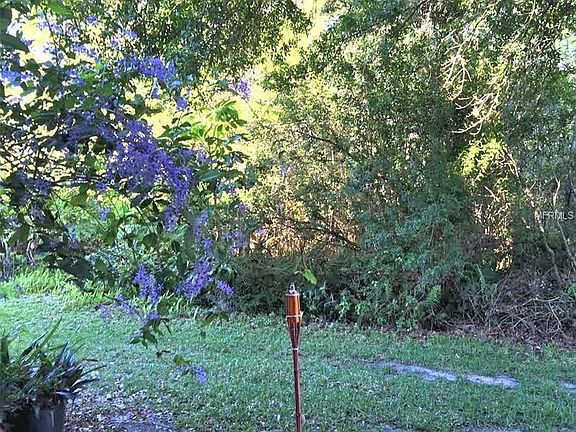 Conservation area / back of the property