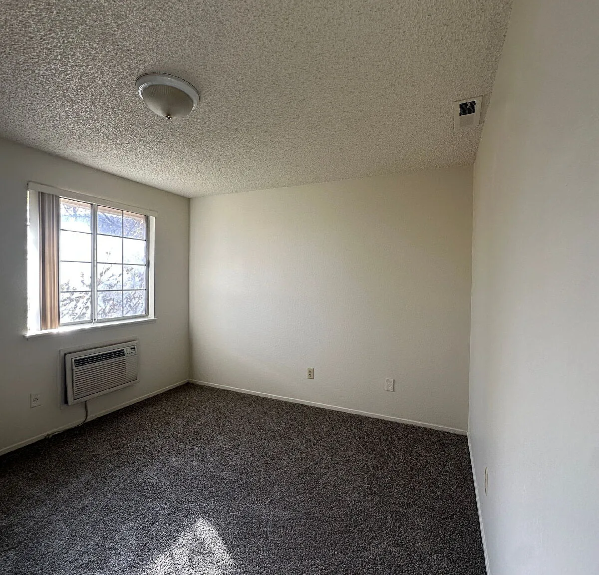 2 bed, 1.5 bath, 970 sqft, $1,600 — Photo 1