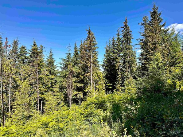 588 Alpine Dr, Fernwood, ID 83830
