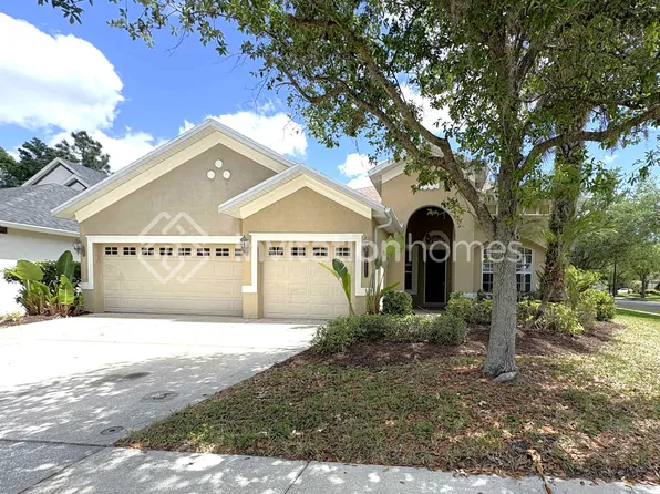 20401 Walnut Grove Ln, Tampa, FL 33647