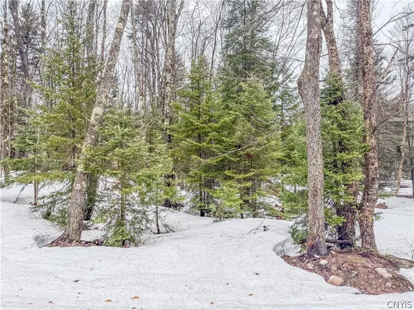 1715 Olin Rd #3, Lowville, NY 13367