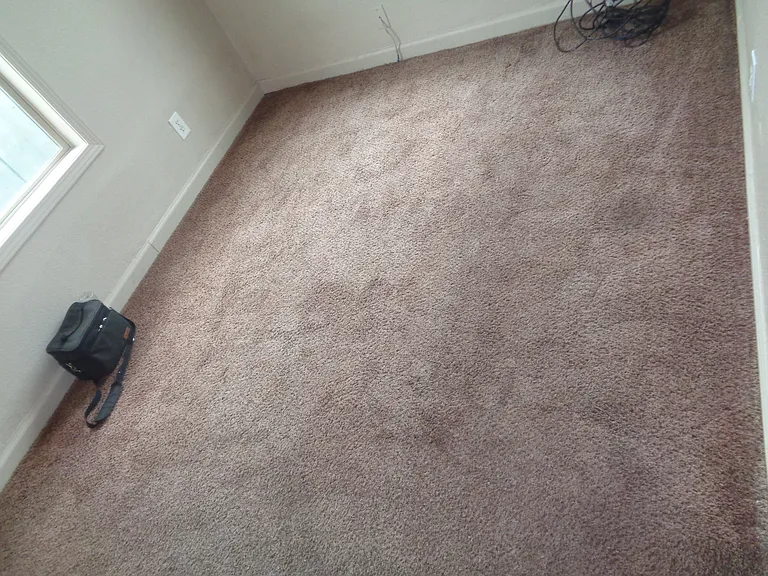 649 Elm St #2 — Photo 6