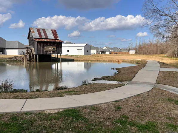 15475 Molly Grace Dr, Prairieville, LA 70769