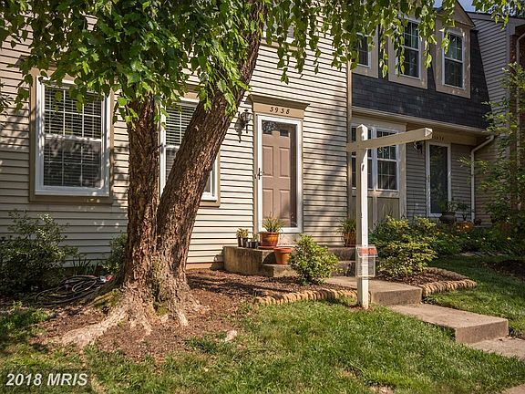 Lots of Neighborhood Trees