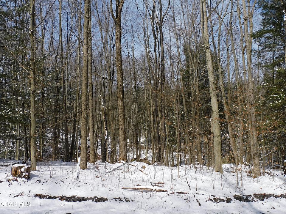 2nd image of 0 Gallitzin Rd