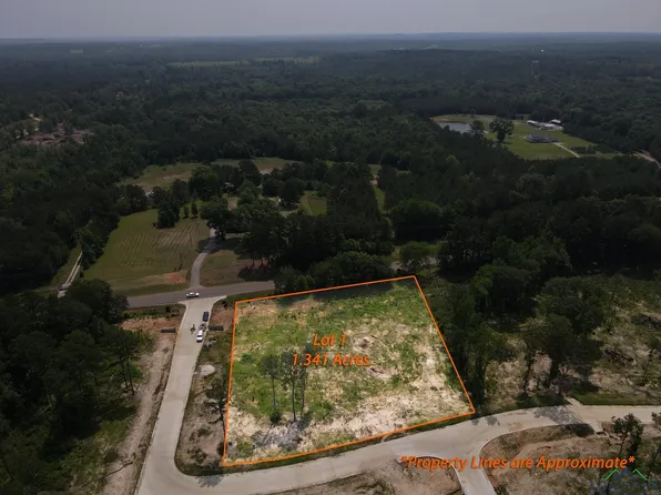 1 Southern Pnes, Hallsville, TX 75650