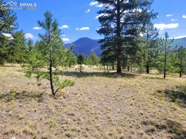 County Road 31, Lake George, CO 80827