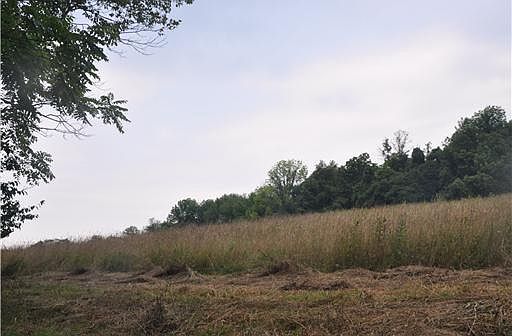 2nd image of Verner Ln
