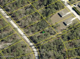 0 Resort Ave, Brooksville, FL 34614