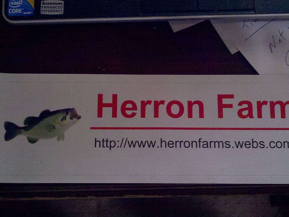 Worm Farm for Sale