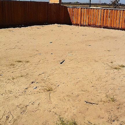 Large Rear Yard