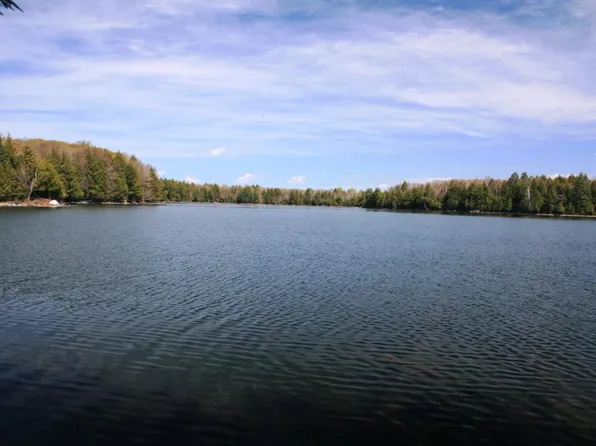 Hewitt Ln #30, Mercer, WI 54547