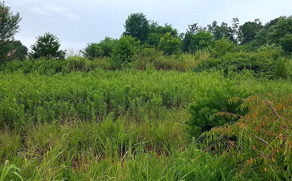 2nd image of 6612 Birdseye Ct Lot 34