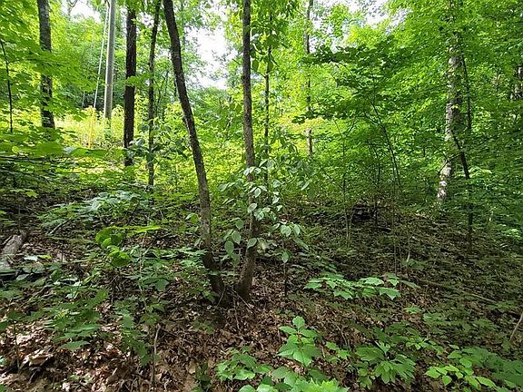 4th image of 31 Butternut Ln Lot 31