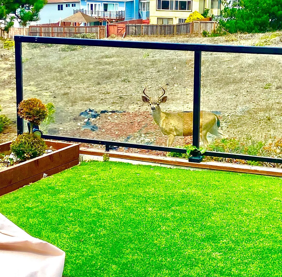Coral Ridge Dr, Pacifica — Photo 4