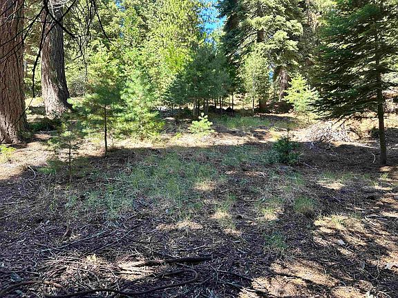 2nd image of 721 Pine Canyon Rd