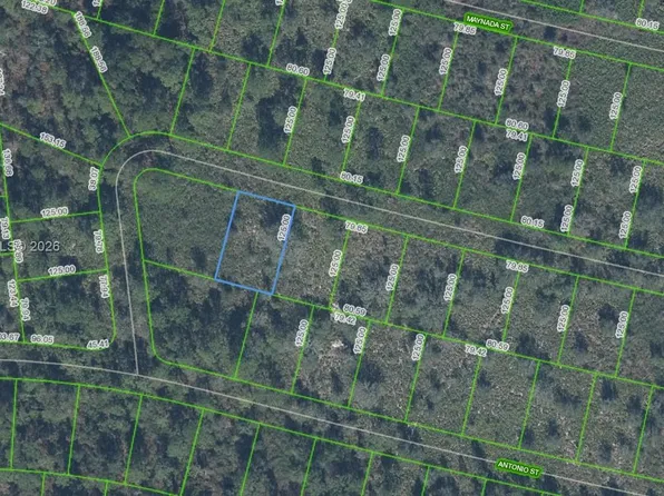 8729 Cicely Dr, Sebring, FL 33872