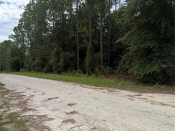 4th image of 00 SW 48 LANE RD LOT 6
