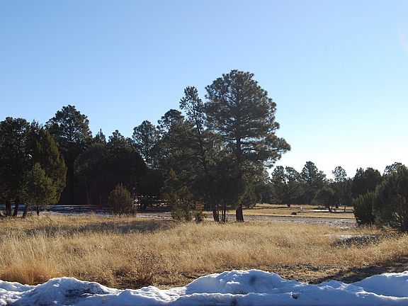 2nd image of 2272 Wright Cir