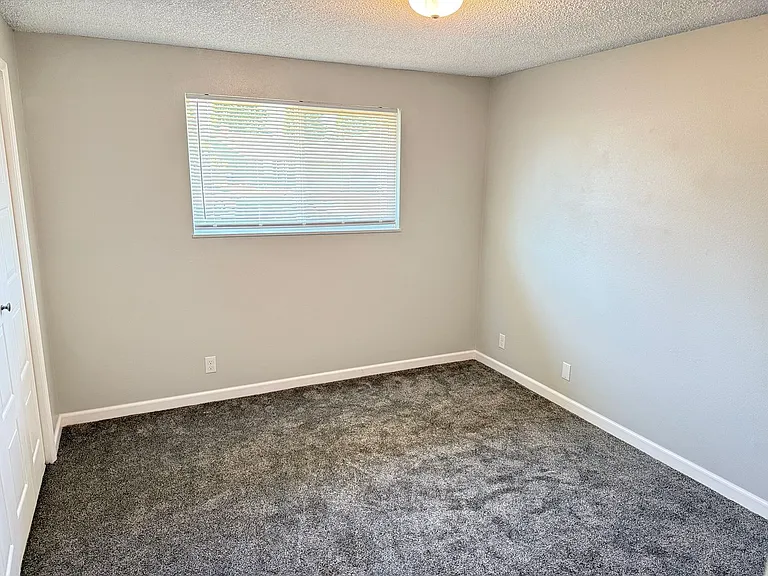 53 Shady Loop — Photo 26