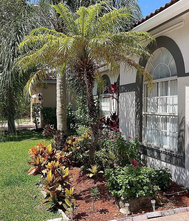 Front garden