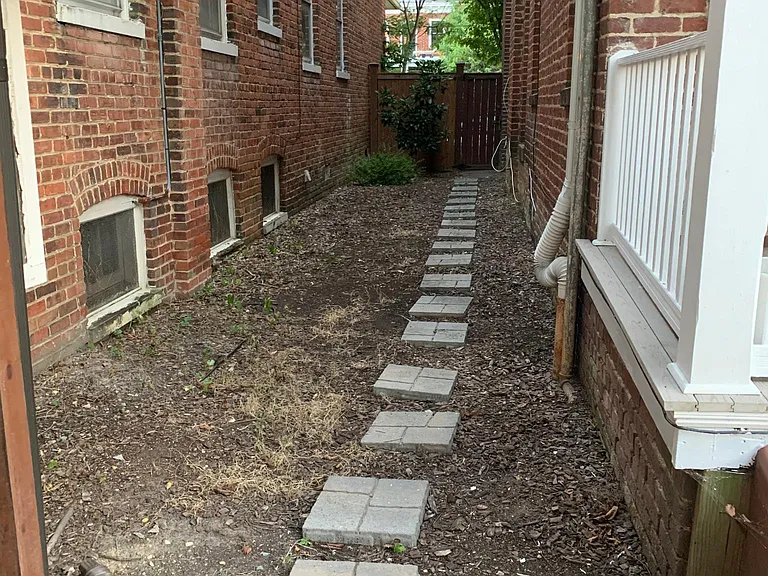 Fenced-in back yard
