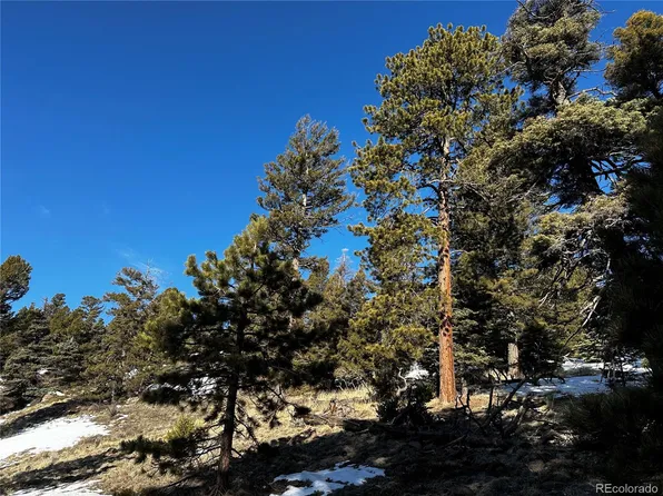 218 Lautenburg Drive LOT 218, Fort Garland, CO 81133
