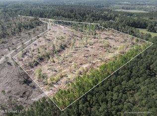 1455/ACRE S Shirley Sanford Rd, Seminary, MS 39479