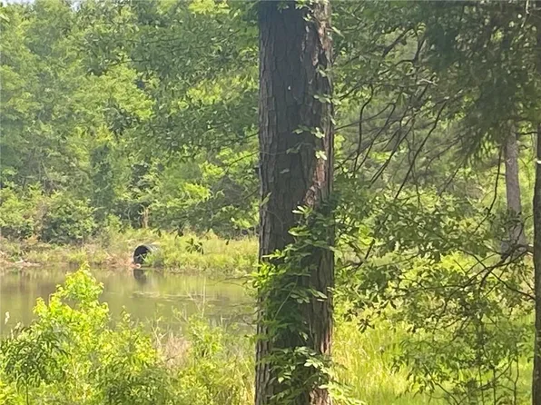 0 Bear Fork Rd #6&7, Mobile, AL 36618