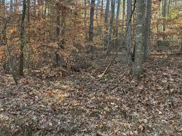 0 Butterfly Ct, Lavonia, GA 30553