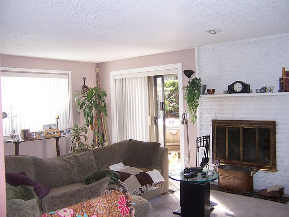 Wood burning Fireplace 