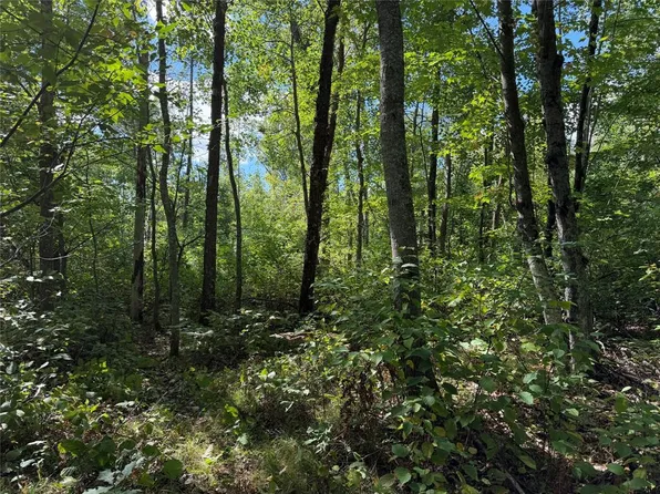 0 Shell Creek Road, Minong, WI 54859
