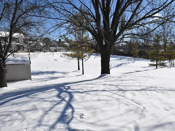 4th image of 3146 Pine Manor Blvd