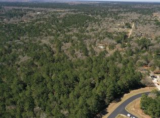 30083 Roundup Dr, Waller, TX 77484