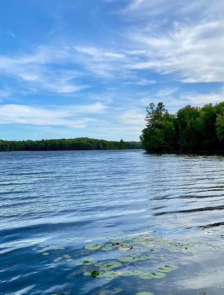 LOT 65 Forest Ln, Long Lake, WI 54542 | Zillow