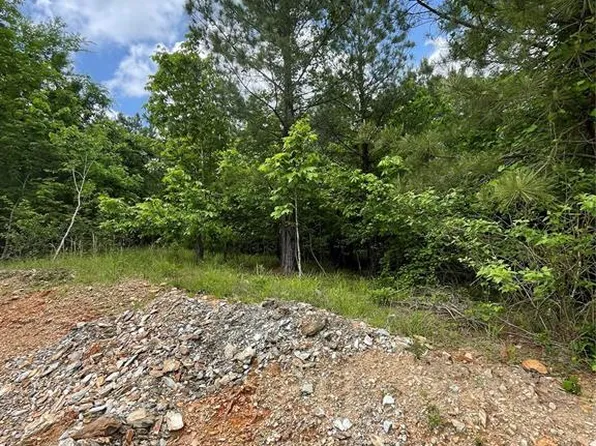 696 Timber Creek Trl, Broken Bow, OK 74728