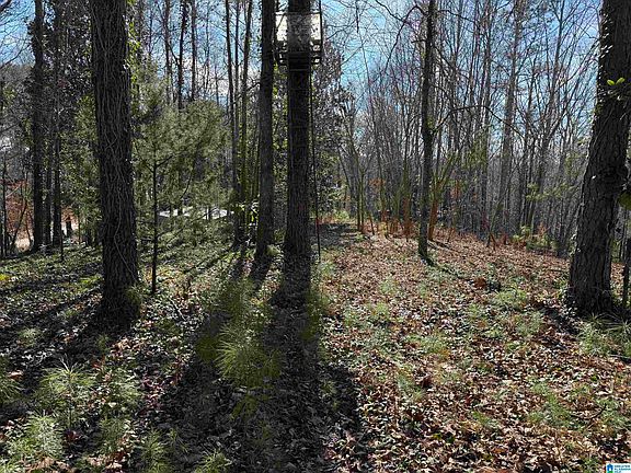 2nd image of 0 Old Georgia Rd