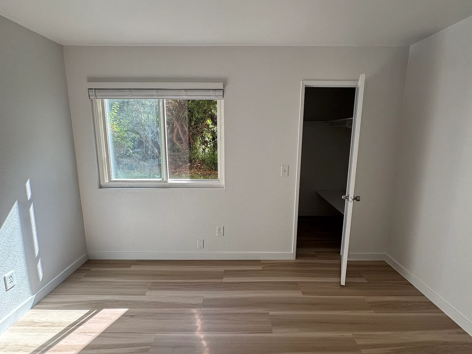 Caminito Sierra, Carlsbad — Photo 2