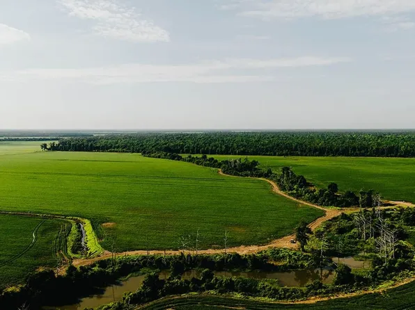 Quebec Rd, Tallulah, LA 71282