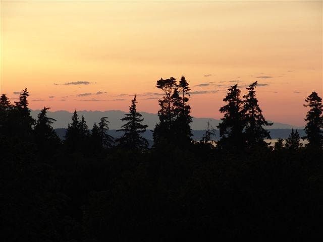 Gorgeous View!