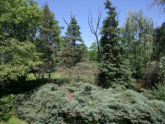 Balcony View in Summer