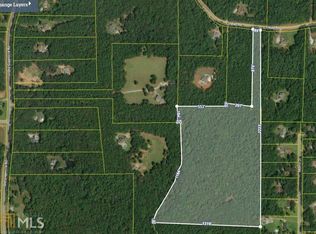 0 Snead Rd, Fayetteville, GA 30215