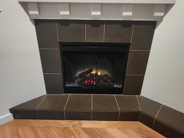 Electric Fireplace in Living Room