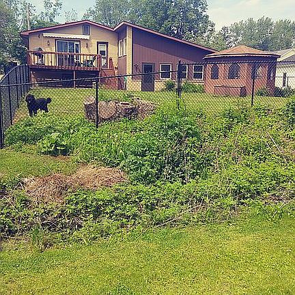 Large Fenced Yard w/ Gazzebo